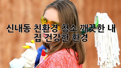 신내동 친환경 청소: 깨끗한 내 집, 건강한 환경