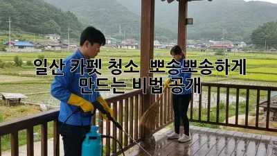 일산 카펫 청소 ✨ 뽀송뽀송하게 만드는 비법 공개!